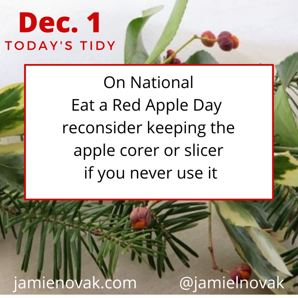 National Eat a Red Apple Day   